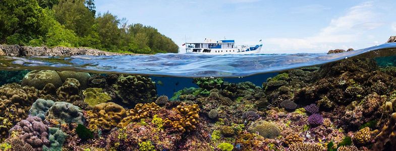 Solomon Islands Liveaboard